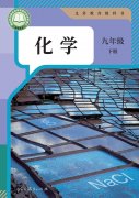 九年级化学下册(人教版