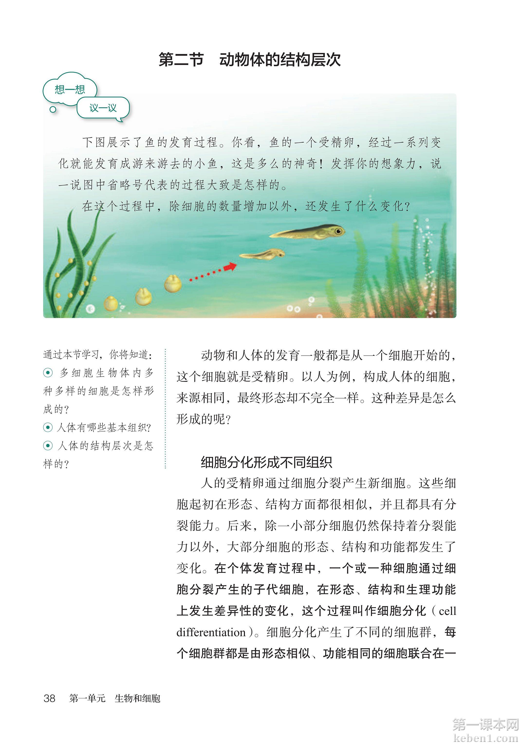 七年级生物上册人教版课本图片