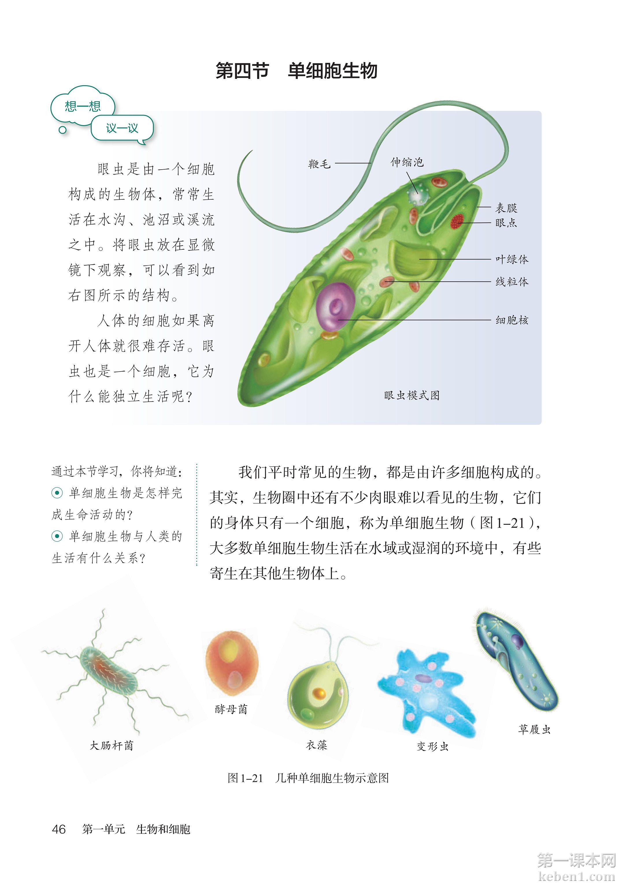七年级生物上册人教版课本图片