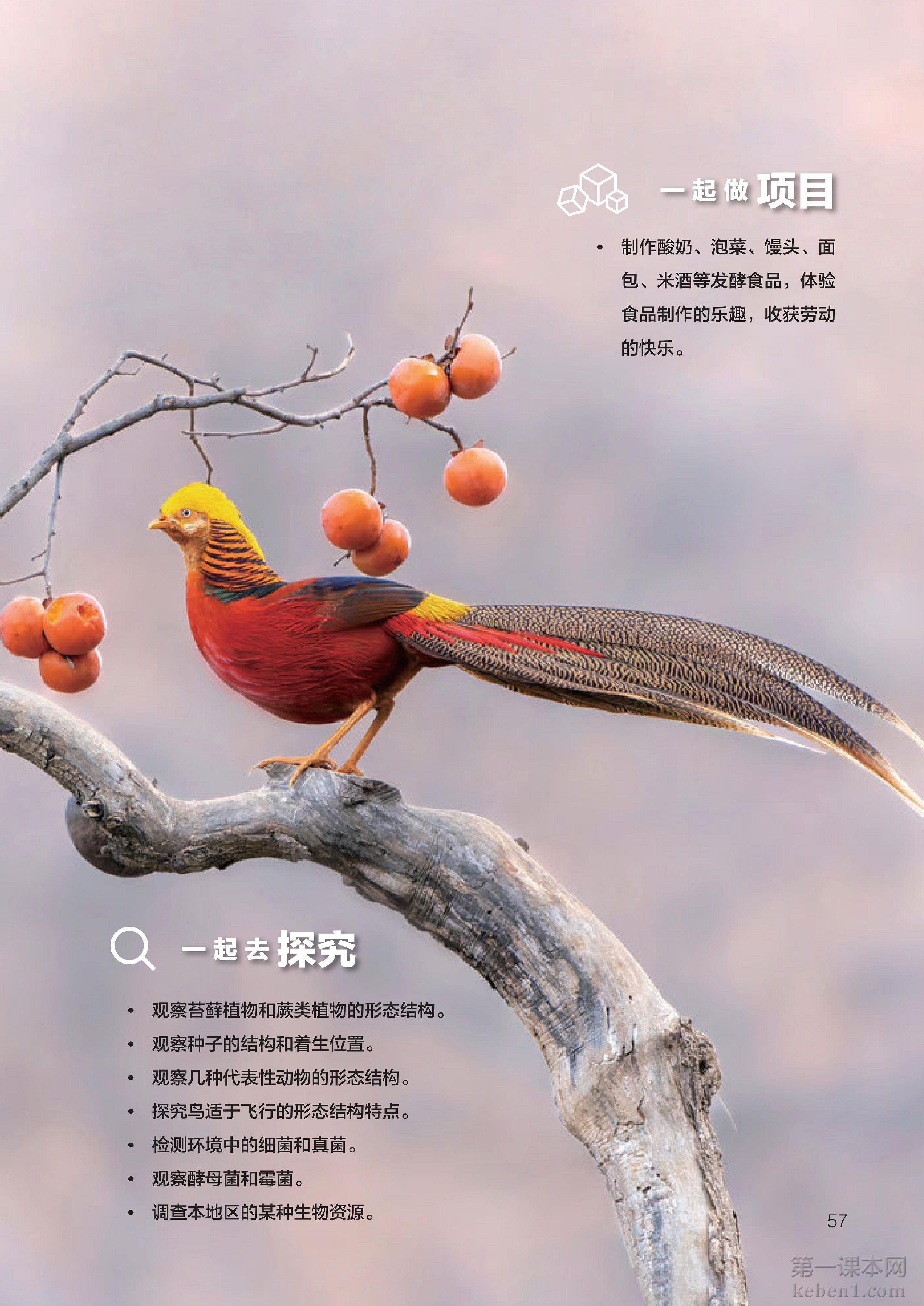 七年级生物上册人教版课本图片