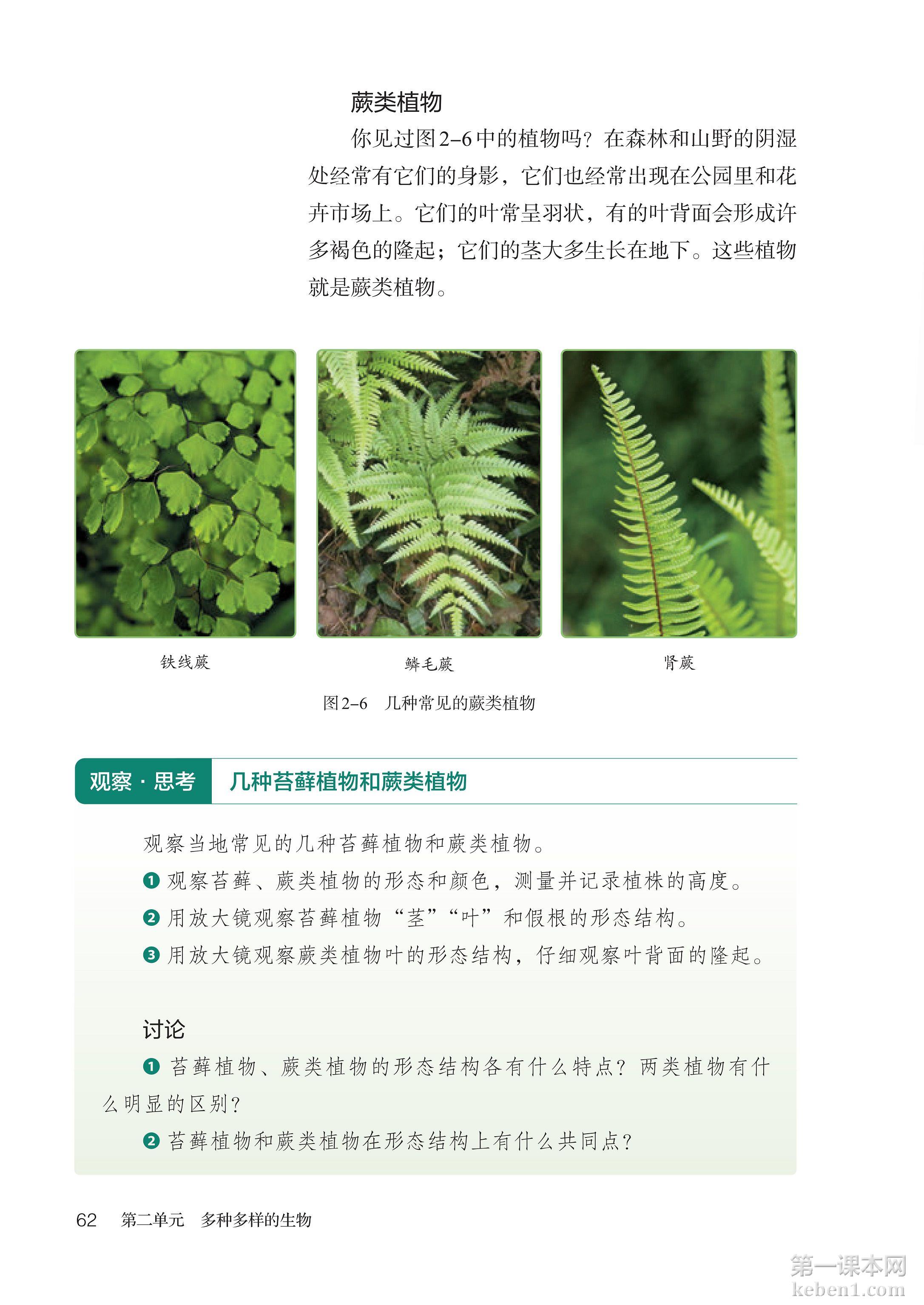 七年级生物上册人教版课本图片
