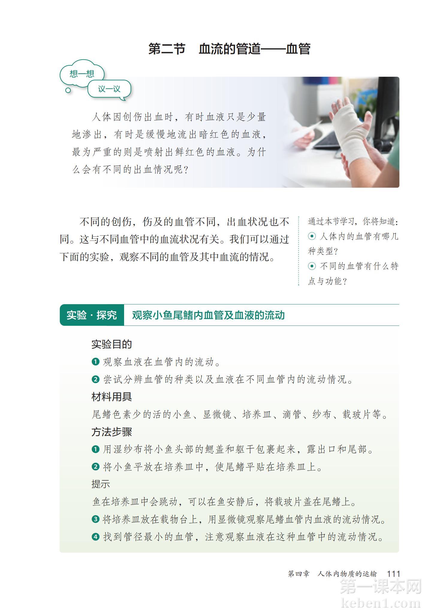 七年级生物下册人教版课本图片