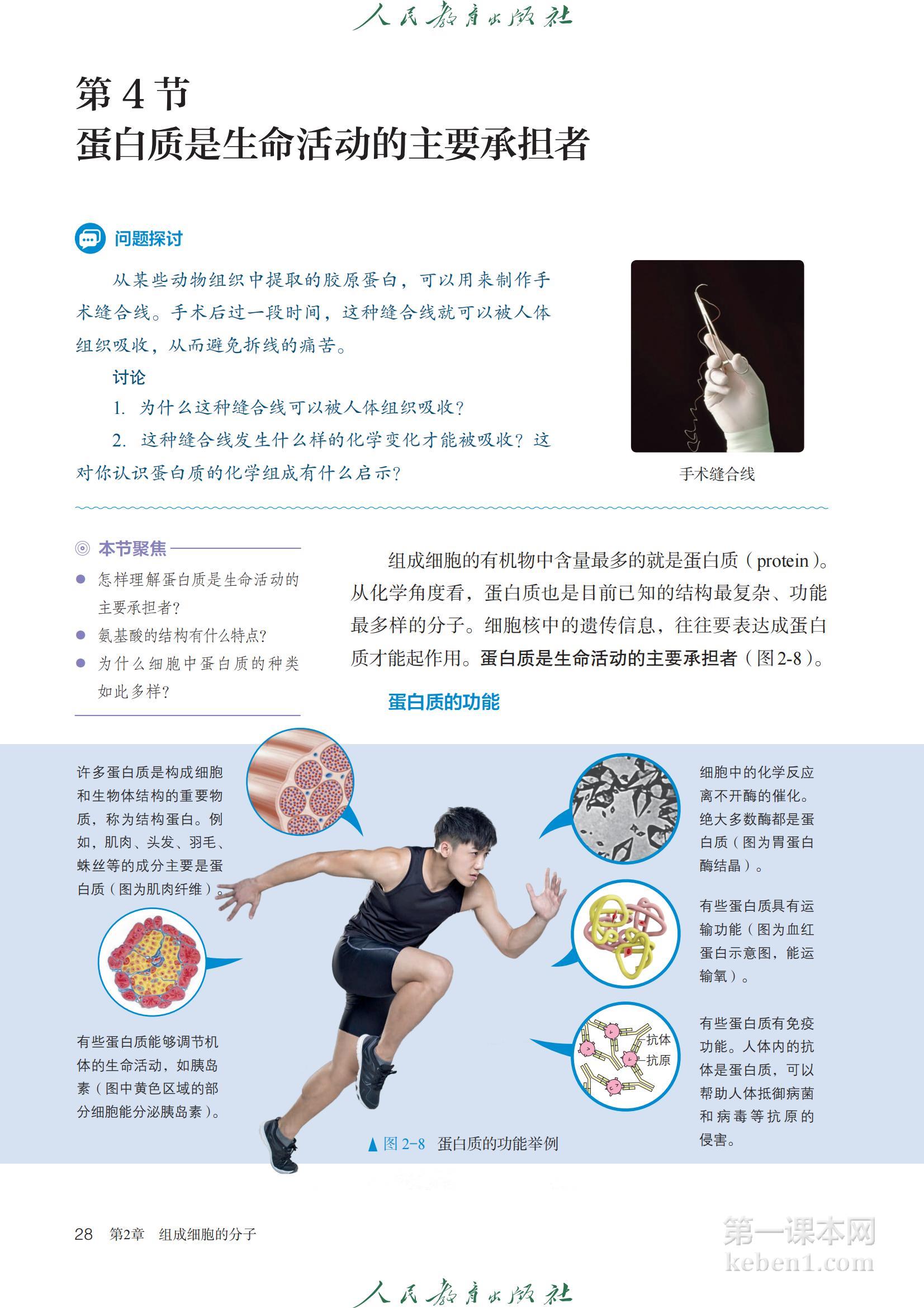 高中生物必修1人教版课本图片