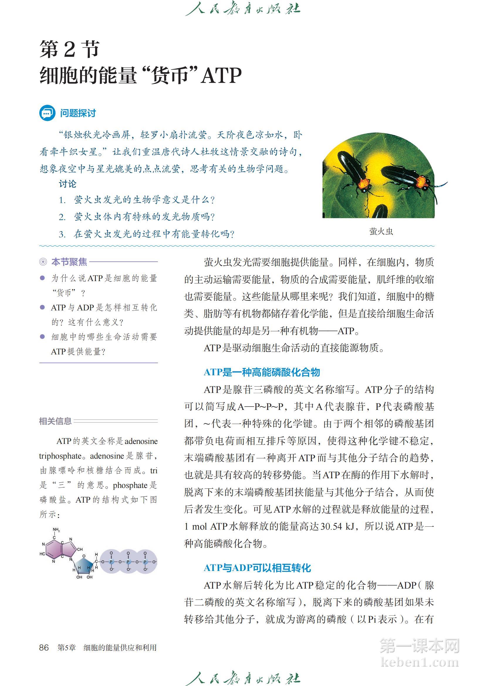 高中生物必修1人教版课本图片