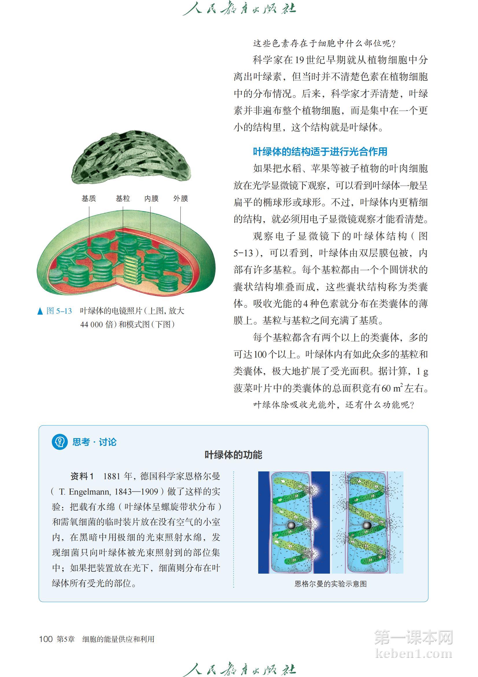 高中生物必修1人教版课本图片