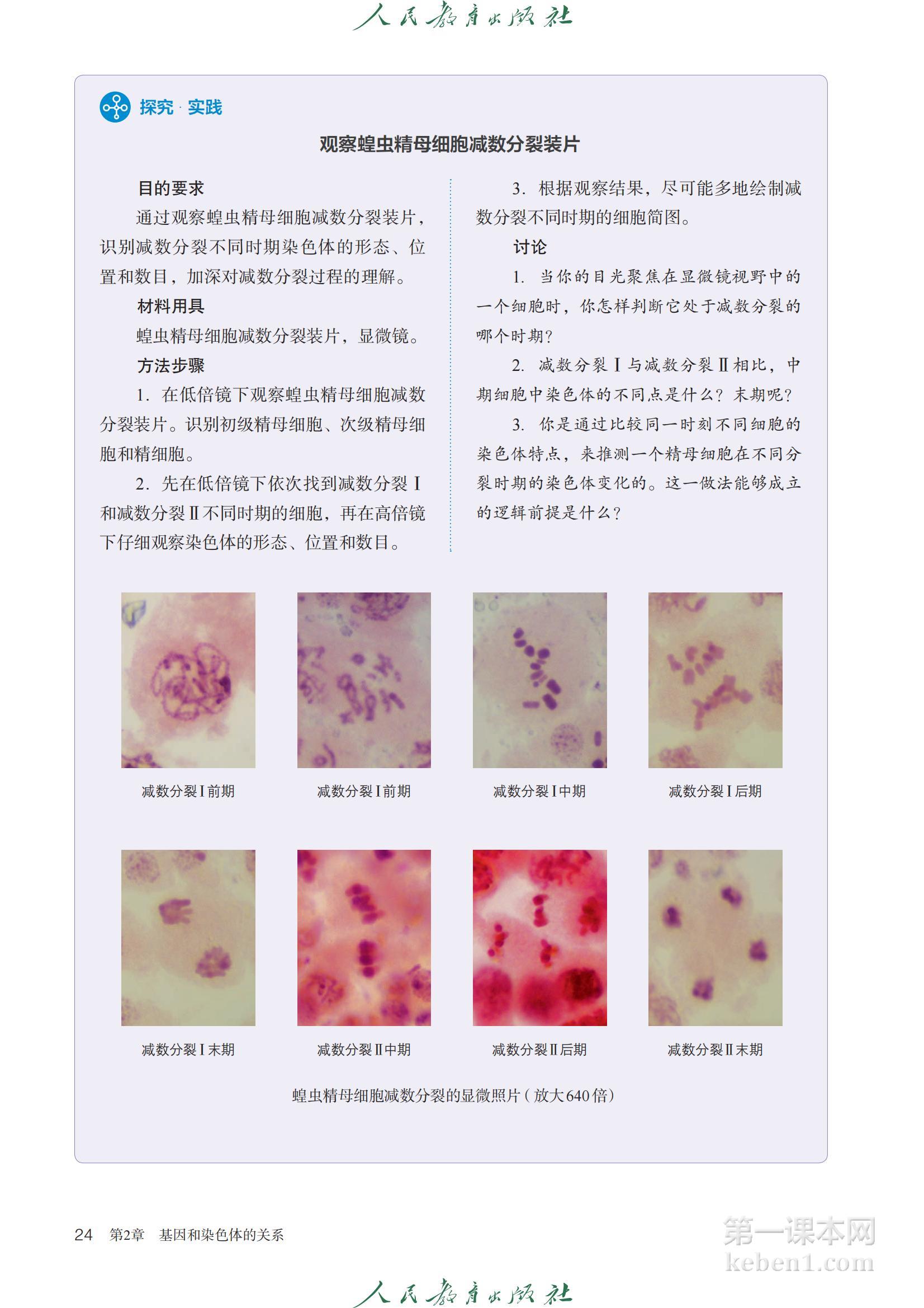 高中生物必修2人教版课本图片