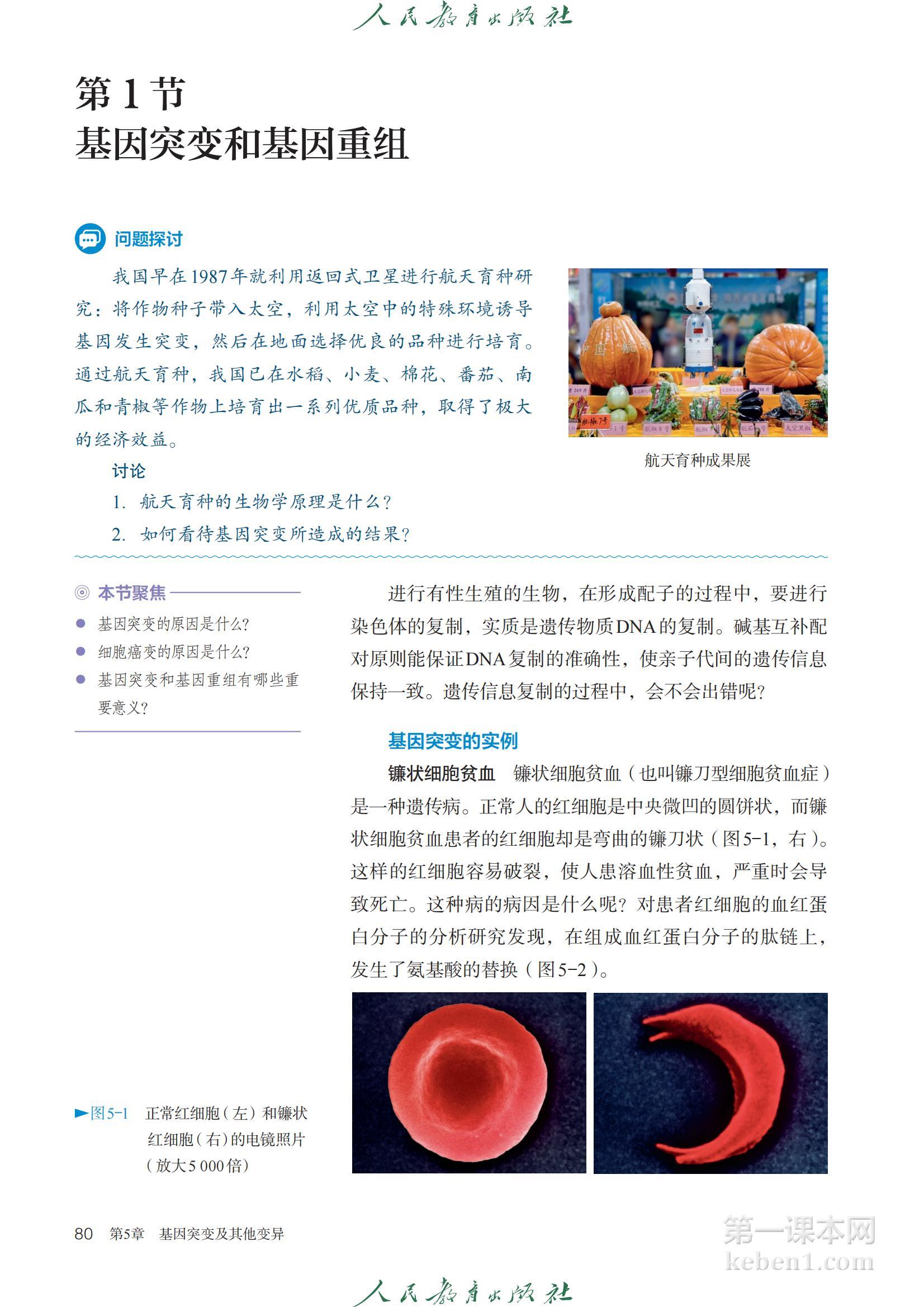 高中生物必修2人教版课本图片